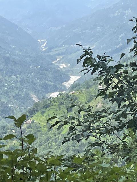 Looking down through leaves onto a valley where a broad pale river winds between steep forested ridges under haze.